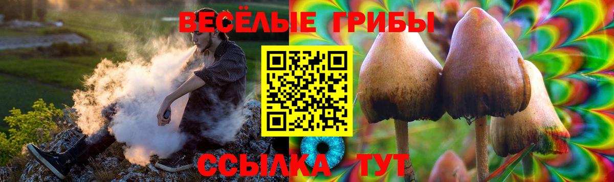 Галлюциногенные грибы прущие грибы  Вход с VPN  Ярцево 